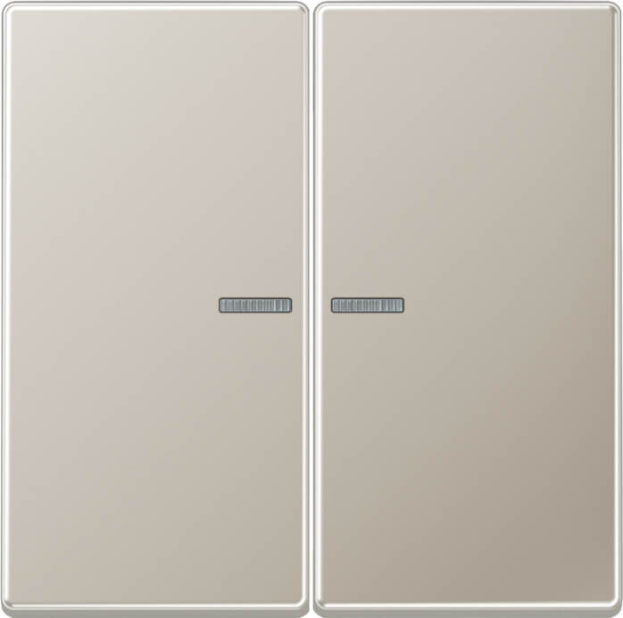Jung Jung KNX RF Taster 2-fach Edelstahl 1.4303 X4 ES 10921 ST RF