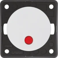 Berker Wipptaster pws mit Beleuchtung 937722509