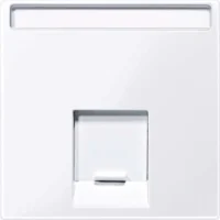 Merten Zentralplatte 1fach aktivws gl MEG4573-0325