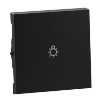 Legrand 765313 SEANO Wippe mit Symbol Licht in der Farbausführung schwarz lackiert