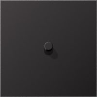 Jung Abdeckung mit Kipphebel Zylinder,1fach, dark AL 12-0 D R 01