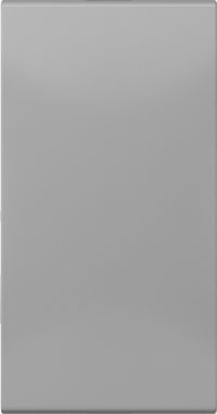 Jung Abdeckung in Tastenfarbe 33x66mm CD 50NAGR