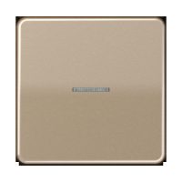 Jung BTCD17101GB JUNG HOME Taster 1fach