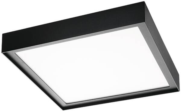 SG LEUCHTEN LED-Anbauleuchte 19W 1740lm DISC 606079 2700-6500K schwarz Konverter