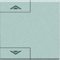 BTicino NT4911M2AHN LivingLight Symbolwippe 2M AUF-AB Tech