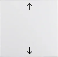 Berker Wippe pws Symbol Pfeil 16201919