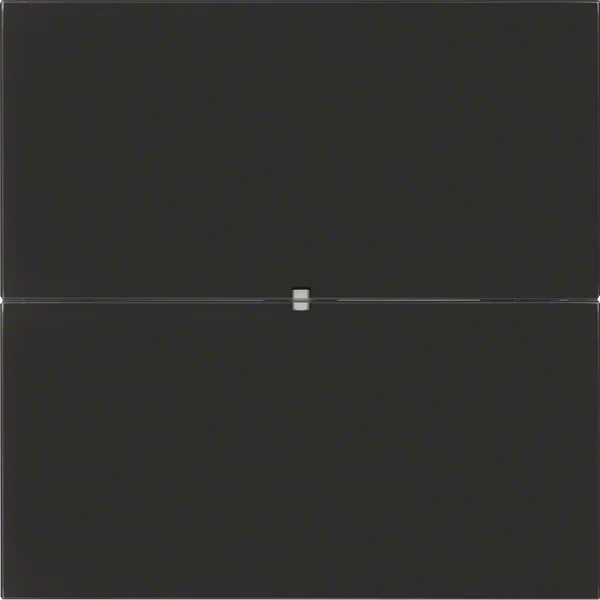 Berker Berker Tastsensor 2-fach Glas schwarz 75162592