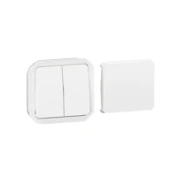 Legrand 069618L Plexo New Eins Multifunktionsschalt 10AX/Taster 10A SL,