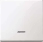 Merten Wippe Kontr Fenster pws/gl für Schal Tast Einsatz 436019