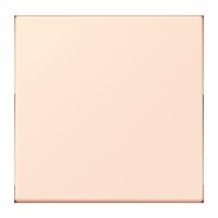 Jung LC1700226 Steuertaste Standard LC32082