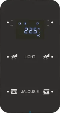 Berker Touchsensor 2-fach Glas schwarz 75642165