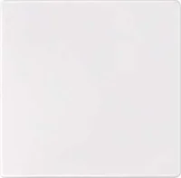 Merten Sensorfläche AQUADESIG.pws IP44 573819