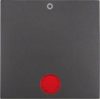 Berker Wippe anthrazit matt mit roter Linse 16241606