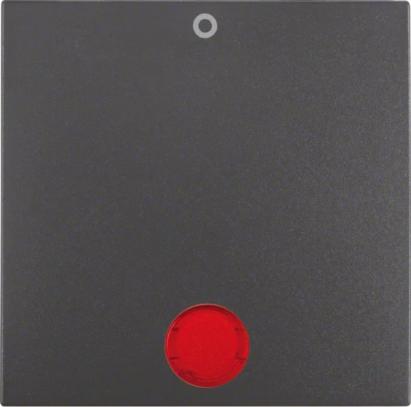Berker Berker Wippe anthrazit matt mit roter Linse 16241606