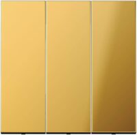 Jung GO993 Wippe f.3-fach Schalter goldfraben