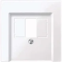 Merten Zentralplatte aws/gl für Anschlussdose 296025