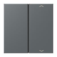 Jung LC401TSAP202 Taste 1-fach Pfeil LC32010