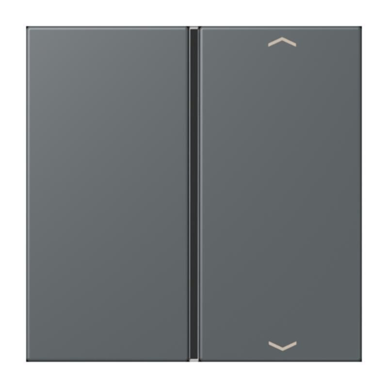 Jung Jung LC401TSAP202 Taste 1-fach Pfeil LC32010