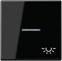 Jung A590BFKO5LSW Wippe Symbol Licht m.Lichtleiter Serie A schwarz