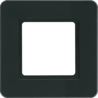 Berker Rahmen 1-fach glas-schwarz LED-Beleuchtung 10116176