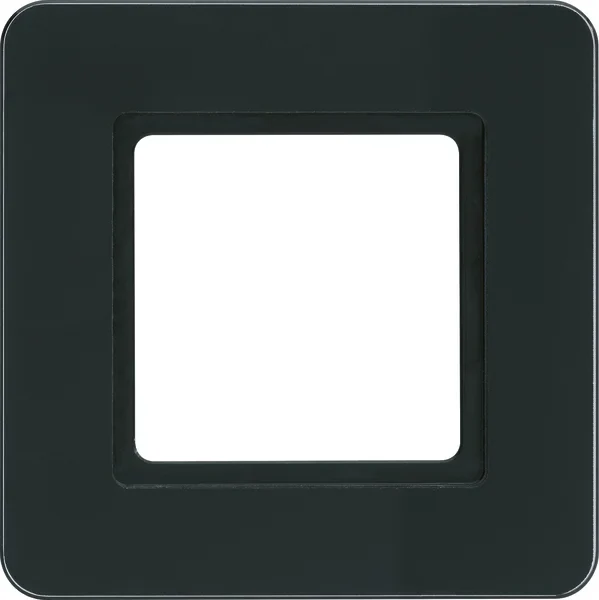 Berker Berker Rahmen 1-fach glas-schwarz LED-Beleuchtung 10116176