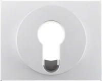 Berker Zentralstück aluminium für Schlüsselschalter 15057003