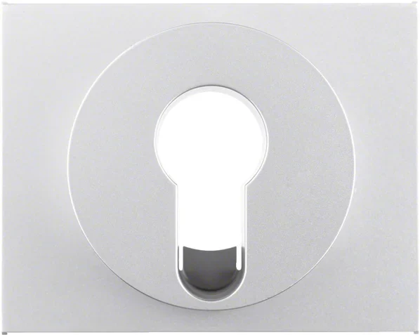 Berker Berker Zentralstück aluminium für Schlüsselschalter 15057003