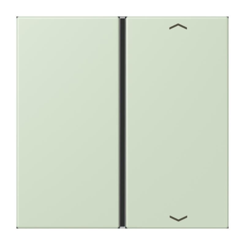 Jung Jung LC401TSAP218 Taste 1-fach Pfeil LC32042