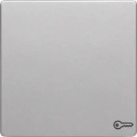 Berker Wippe alu/lackiert Symbol Schlüssel 16206064