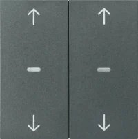 Berker Abdeckung Tastsensor-Modul 2-fach anthrazit 80961385