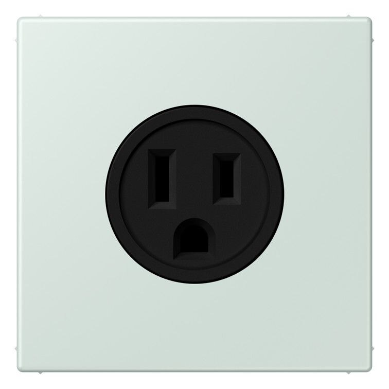 Jung Jung LC521-15215 Steckdose US-Norm NEMA LC32034