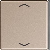 Jung Taste 4-fach champ. mit Symbolen A 404 TSAP CH 23