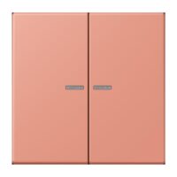 Jung LC102KO5233 Wippe mit Lichtleiter für KNX Taster 2fa