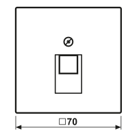 Jung Abdeckung f.IAE/UAE-Anschlussd LS969-1UAWWM
