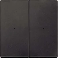 Merten Wippe anth für Tastermodul 2 fach  625214