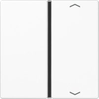 Jung Taste 1-fach aws mit Symbolen A 401 TSAP WW