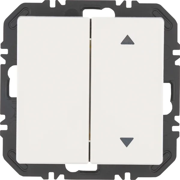 Berker Modul Wippe 2-fach eins Aufdr Q.x polar weiß 24126389