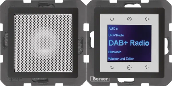Berker Berker Radio mit Lautspr. DAB+ Q. x anthrazit. 29806086