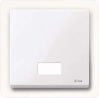 Merten Wippe Symbol Fenster awsgl rechteckig IP44 432725