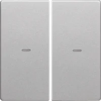 Berker Abdeckung 2-fach alu/lackiert für Tastsensor-Modul 80960321