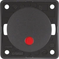 Berker Wipp-Kontrollschalter anthrazit mit roter Linse 937522505