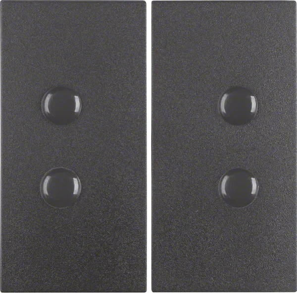 Berker Berker Wippen B.1/B.3/B.7 Glas 15711606