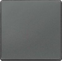 Siemens 5TG6221 DELTA i-system carbon- metallic Wippe neutral