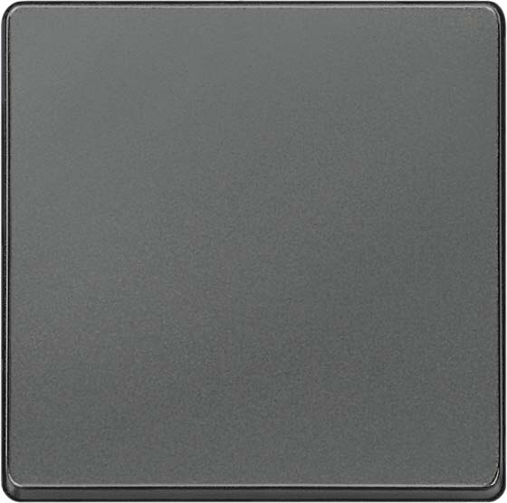 Siemens Siemens 5TG6221 DELTA i-system carbon- metallic Wippe neutral