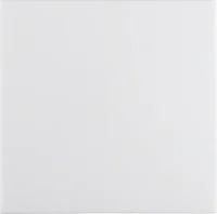 Berker Wippe S.1 IP44 pws glänz. 16298989