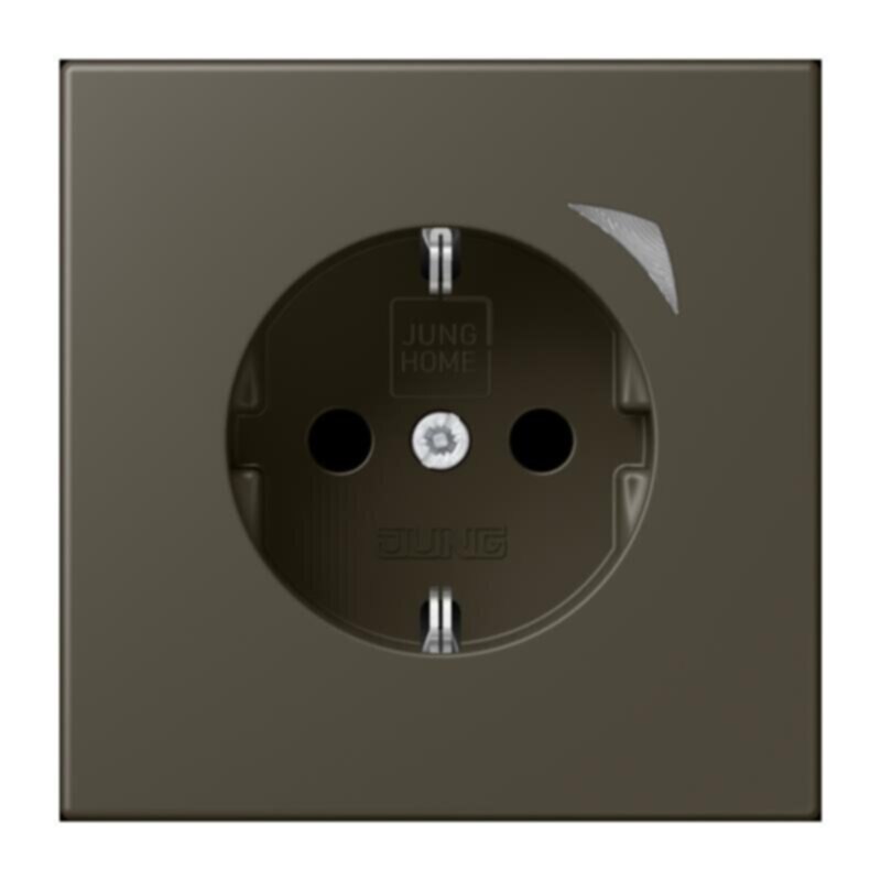 Jung Jung BTLC1521S241 JUNG HOME SCHUKO Steckdose LC32140