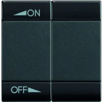 BTicino L4911M2AIN LivingLight Symbolwippe 2M ON-OFF REGELUNG Anthrazit