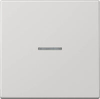 Jung KNX RF Taster 1-fach Duroplast, Serie LS LS 10911 ST RF LG