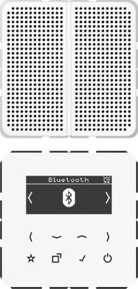 Jung Smart DAB+ Digitalradio Bluetooth SetMono1LS DAB CD1 BT WW