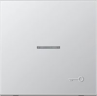 Jung Wippe geprägtes Symbol Tür aluminium AL 2990 KO5 TP